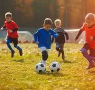 五行奥秘揭,双色球,期独家预测,重庆体彩,重庆体彩网,重庆体彩网官网,体育彩票,体彩大乐透,竞彩足球,体彩公益