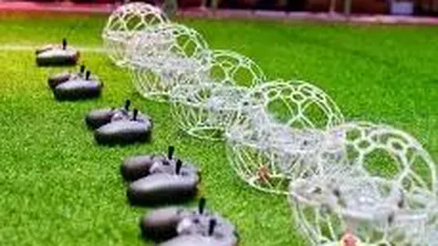 [彩市焦点]双色球2026010期热门蓝球3选1，精彩预测不容错过！