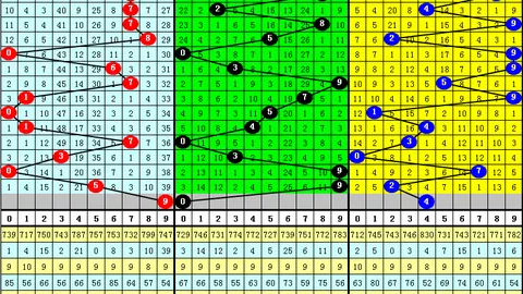 大乐透2026055期专家质合分析稳杀一码推荐：0