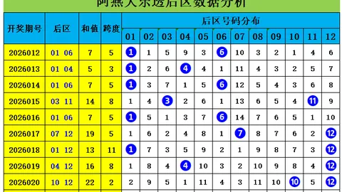 大乐透2026025期专家质合分析推荐前区十码红球预测