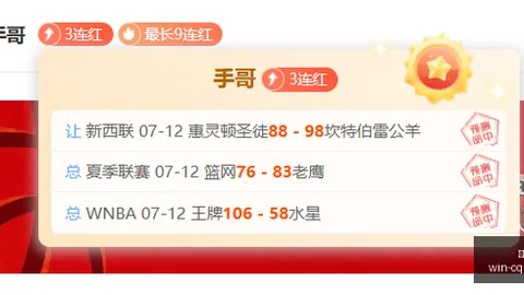重庆体彩网